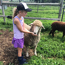 Farm camp summer 2025
